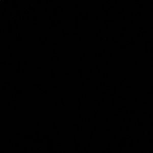 Meet your Posher, Dahvee